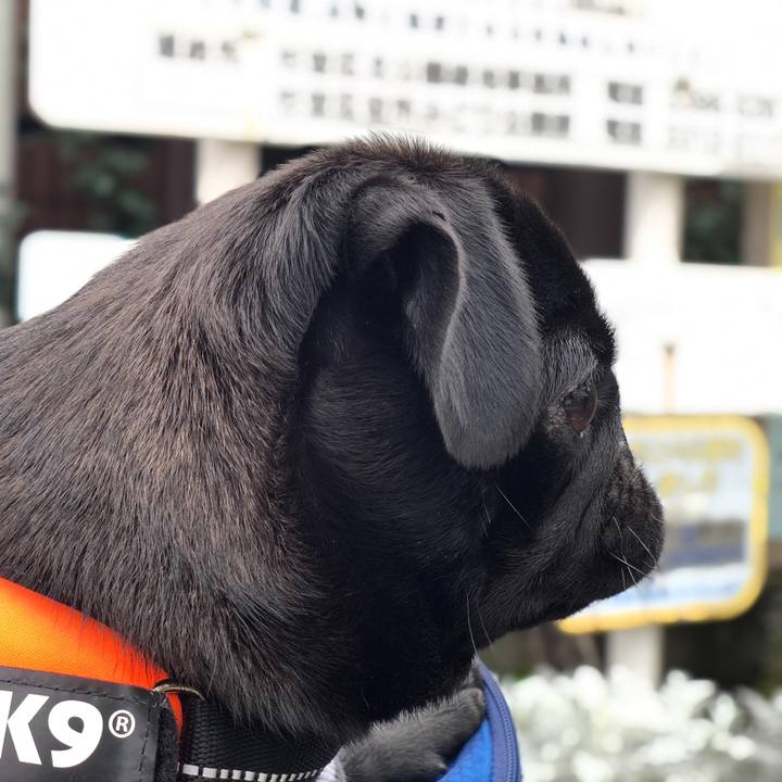 F241ea0f d35c 4d8f 851a 0402f3dbeff9 1604372944514