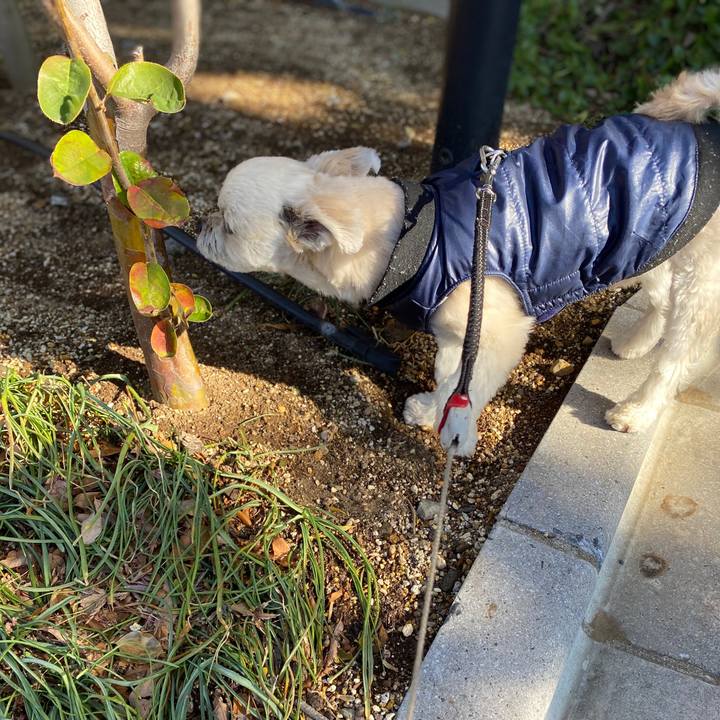 F2420643 b2f6 41b0 9cb7 1b297665f531 1578548434851