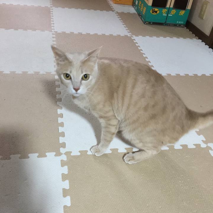 F2421758 4348 4471 9b44 8fa4875f98e8 1511957751717