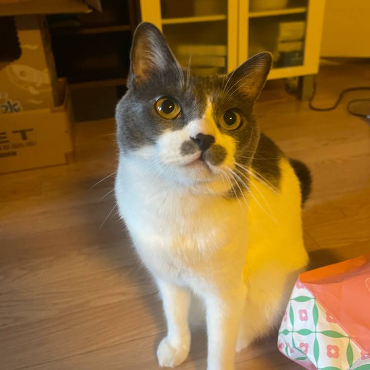 F2422451 8db4 42bd ba10 37d404daaf69 1754258485059