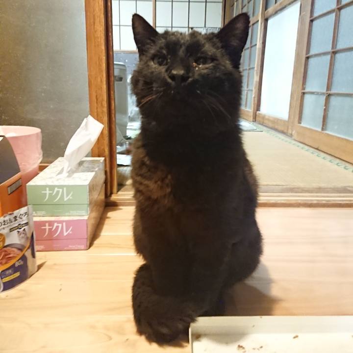 F2422a31 0f3b 4b25 ba98 1c8790153312 1621075113327