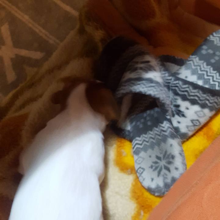 F242445d 1e8d 4159 8b5d d482f97bb8f3 1550223950507