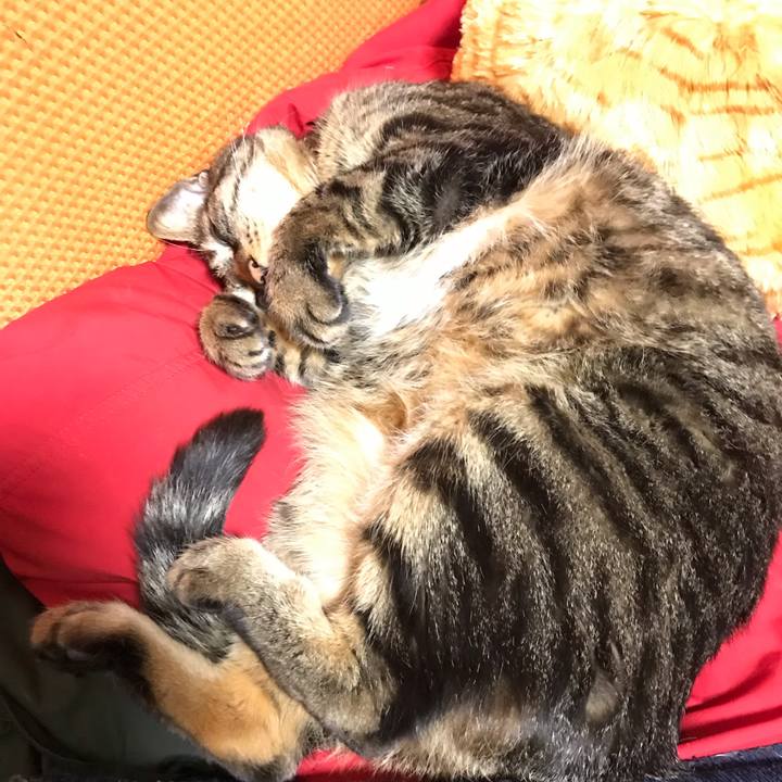 F2427041 1aa4 45b7 b5f7 fad83d836379 1644668302828