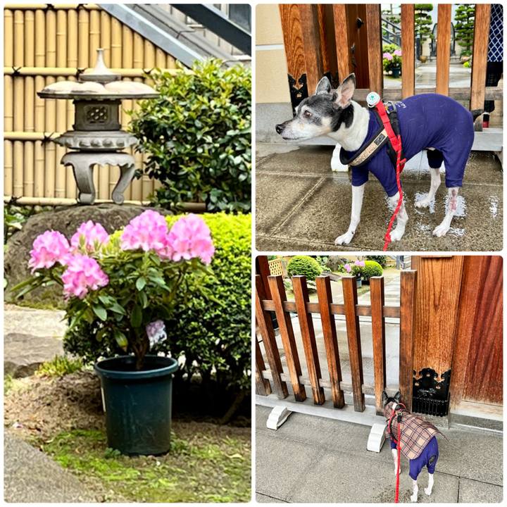 F242802c 6d6b 4e8f 99ea f3c9eee54f6c 1651221646350