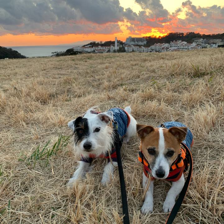 F24280d7 3af0 4f81 a01f adc6b7caf57d 1578731054476