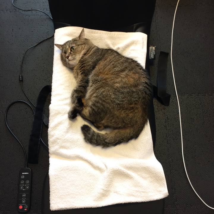 F2430042 2f4f 4ade 80fc 0553cb813b35 1593925351048