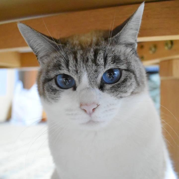 F24308b5 7bba 45d5 8af2 15ec8f2a230a 1549710649241