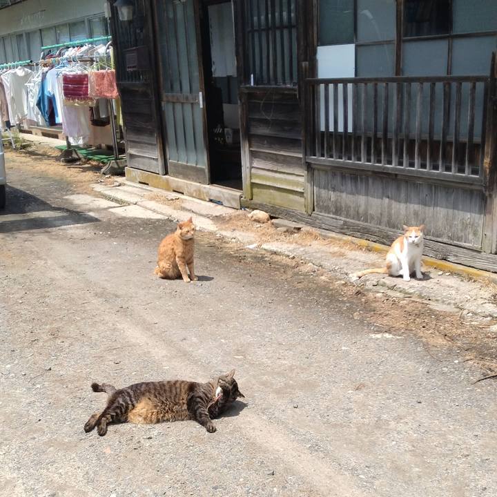 F24318bf 8c46 487c a2b8 1a64e51d43ff 1747968621093