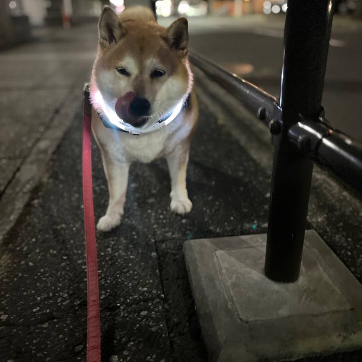 F2432ac6 6efb 4666 a843 18bc88adb991 1703626070536