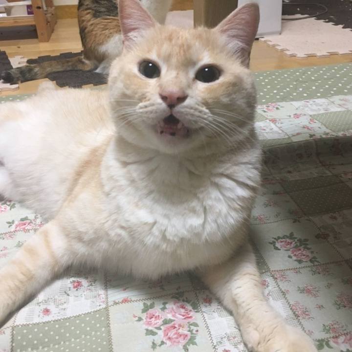 F2432c4a 39d3 4986 b018 52e25e366e45 1621379494257