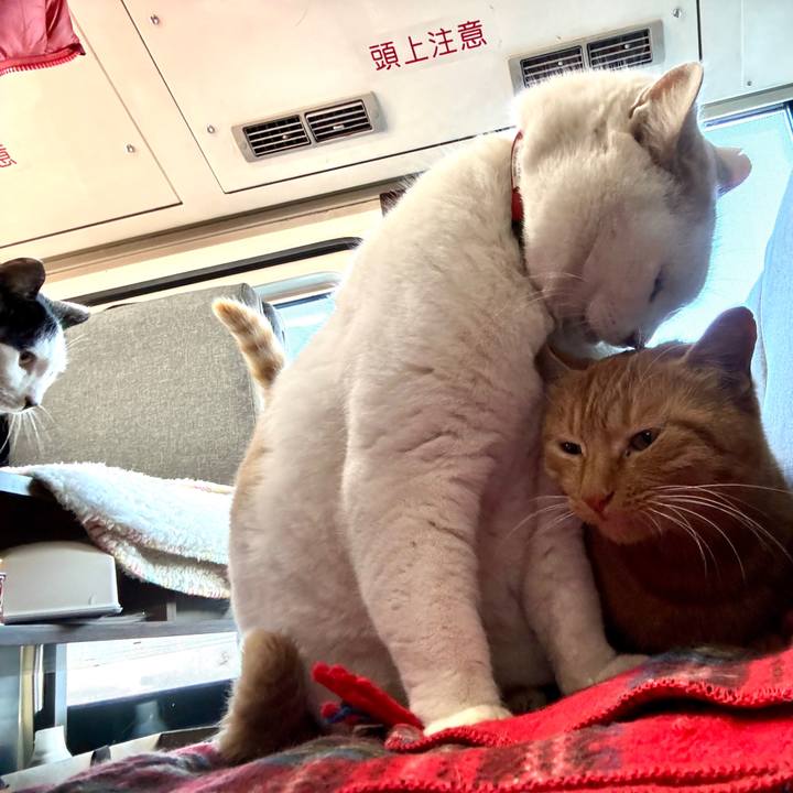 F2433320 14ef 422d 9e1f a4bc0aab934f 1765348172877