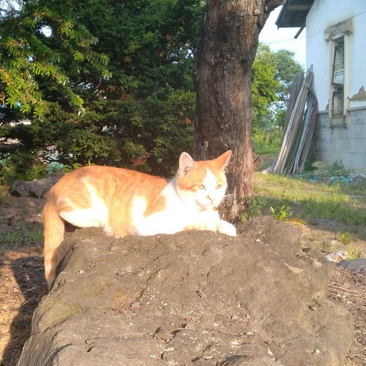 F2433a61 e298 461a b650 08176421da6f 1751492645667