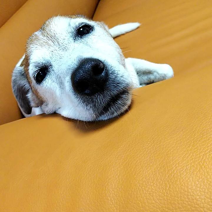 F2434cbf 6bcd 4bf3 96da fab695c0cd76 1567777223976