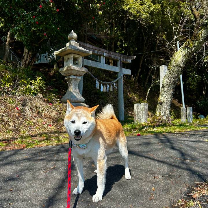 F2435c44 7ce9 4ab2 8763 4aff3466cbcf 1774093421800