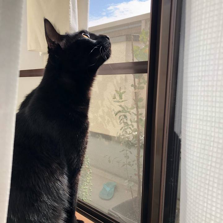 F24391f7 8281 41e5 befc f53759ad7323 1549166059276