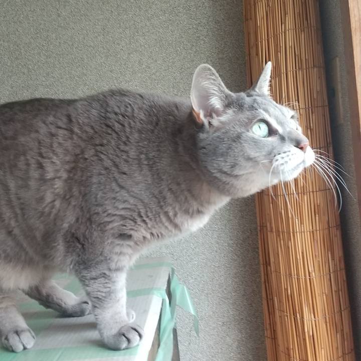 F243bc3d 0c91 4a1e ac45 33d23700e566 1647145471801