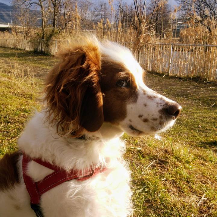 F243c094 d3c8 48ad bffa 6c2d37573f33 1548147318105