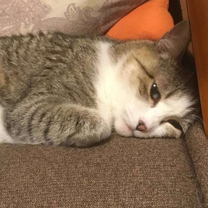 F243c73b d224 4ec3 9036 3e7920f7d407 1773874408207