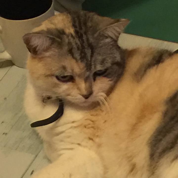 F243d89f 3c50 45c5 8e85 c599155c540a 1556808460501