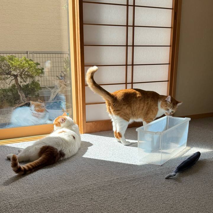 F2442ff5 9861 4611 af02 043fc0199b9a 1773196725343