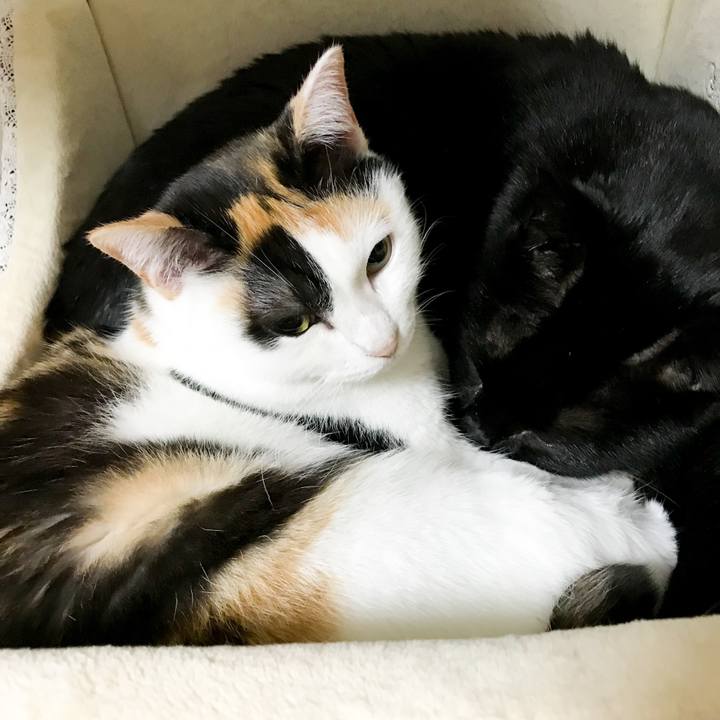 F2443bb6 de16 4a29 adcb 5ff99fbaeb5c 1517060911547