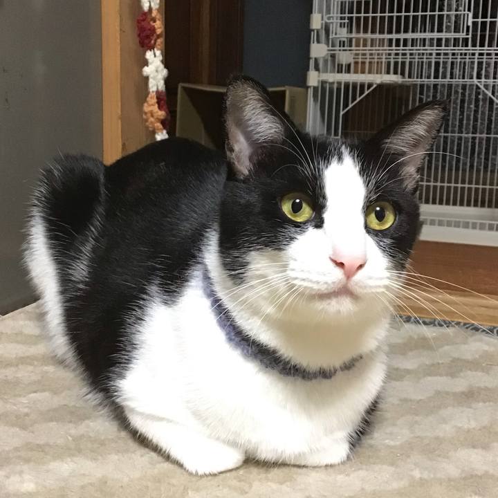 F2445792 4529 4991 a29c ce94247b7e9a 1667035116212