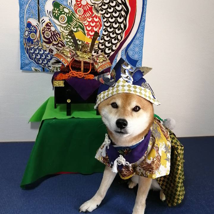 F2446ebd 7993 4477 88c1 0c046a5e6542 1683267565438