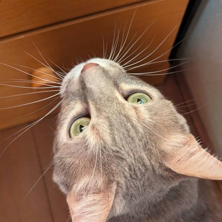 F2447cde b439 4fc9 a9fa 7f83cfe29ffd 1711943116889