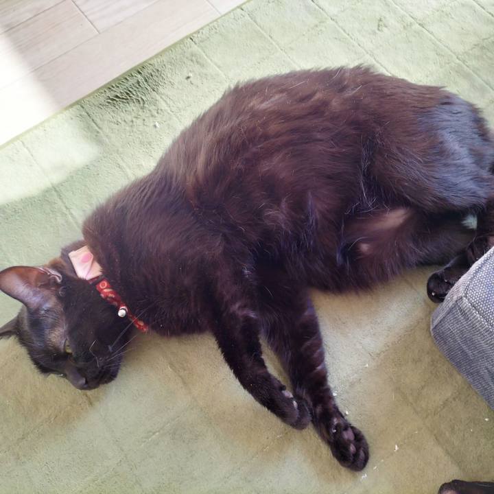 F2448d22 ae38 451c 8eeb f585d57e6225 1681080851538