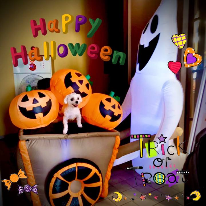 F244fca4 25dd 487e a459 838e94a7897d 1635648382813