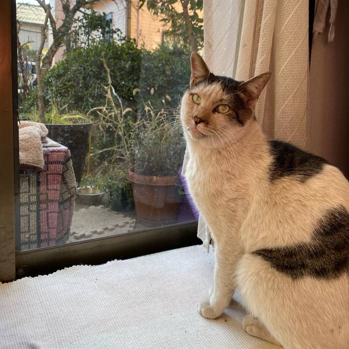 F24503e2 85f2 4484 99c0 e4dfe9d86202 1608651251115