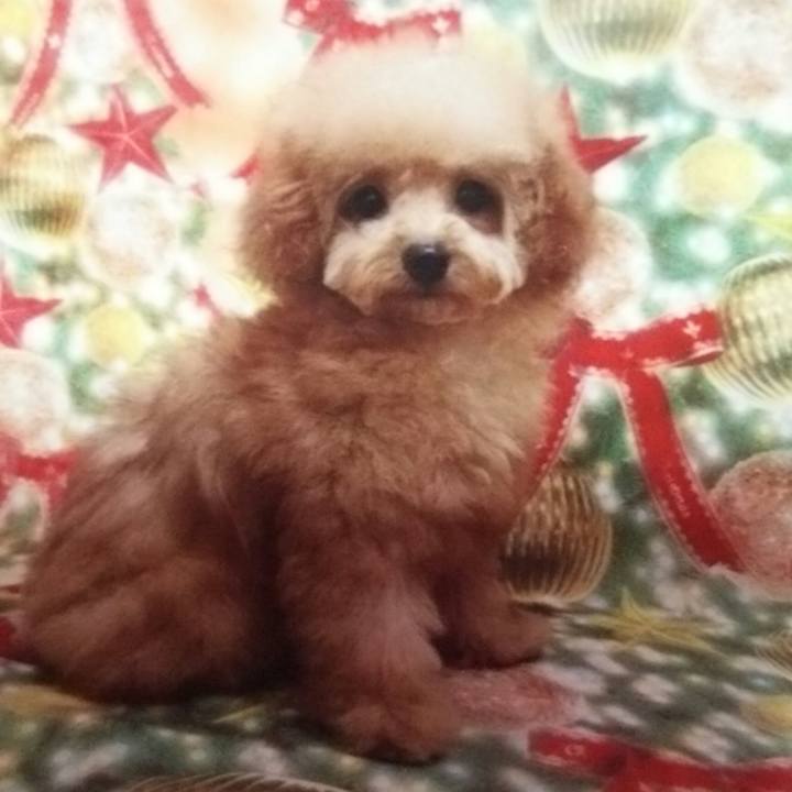 F2452a5f 670d 4ca0 aa78 a139330f1a19 1558169131499