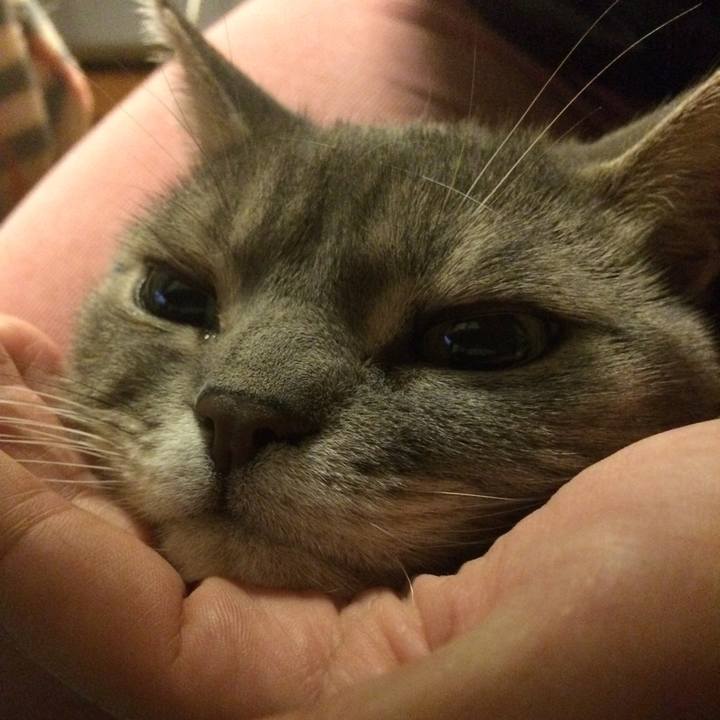 F24534a1 00cc 4a84 8ecf 26ba43c8d0ce 1511697539150