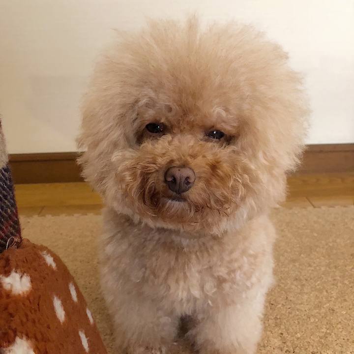 F24544b7 de80 46a5 b0ce faf1f1a802d2 1539854069279