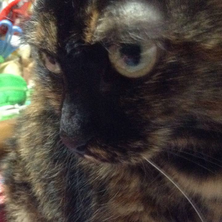 F24548d8 55d8 4050 ba3c 0c7d37676866 1515149359033