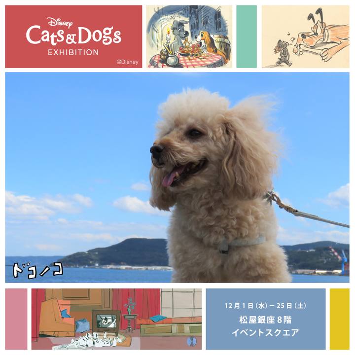 F24557f9 abb5 4bb8 abf5 a64960a7f98c 1638390728558