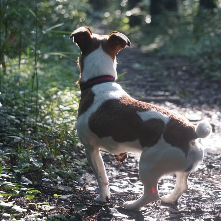 F2456c9c 52d5 4cc7 92ab d5fb3a257cdc 1529622216653