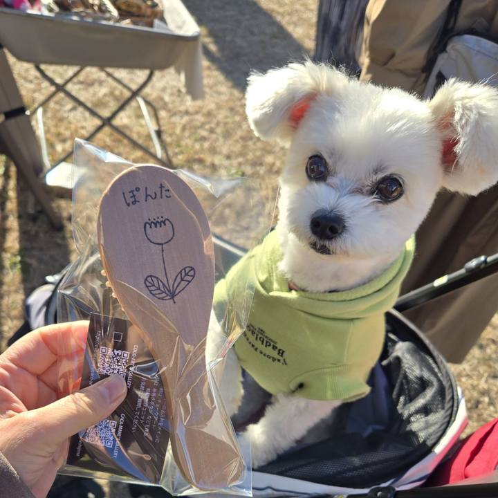 F2456d4b 93f0 41d9 83b4 481c83b9ca0b 1763866555431