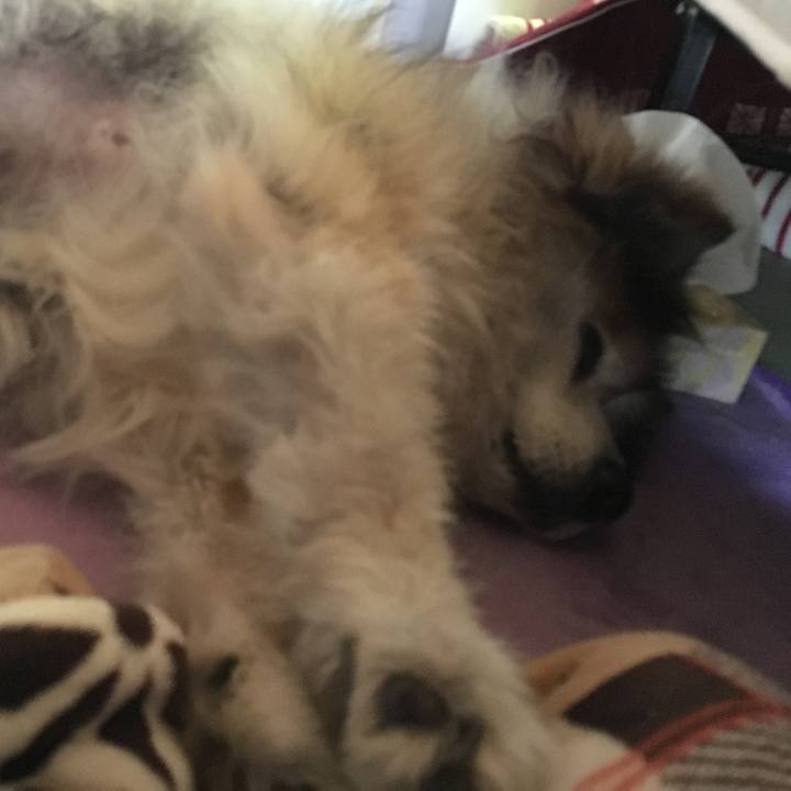 F2457e0e 32ee 4f10 911a 7cd8cf2a6168 1607648752006