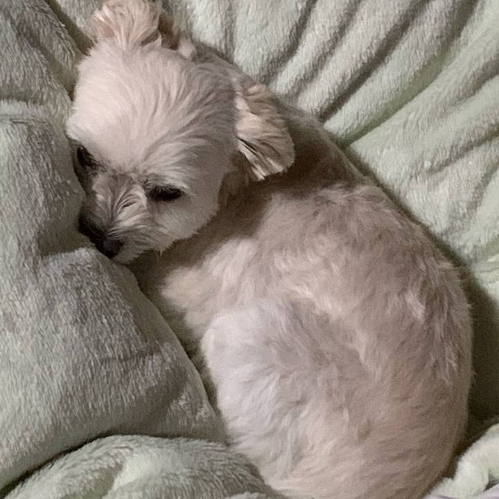 F2458952 4b76 4cf3 857e 685f4796fd6f 1572949792136