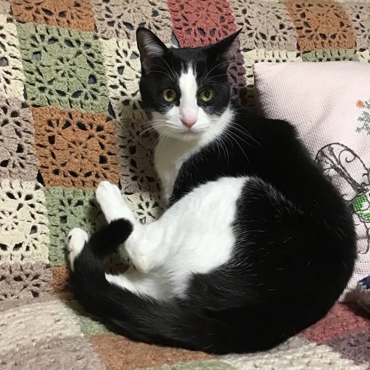 F245ecef 36c4 4fc1 8fdb d5634f8b32fa 1737113980457