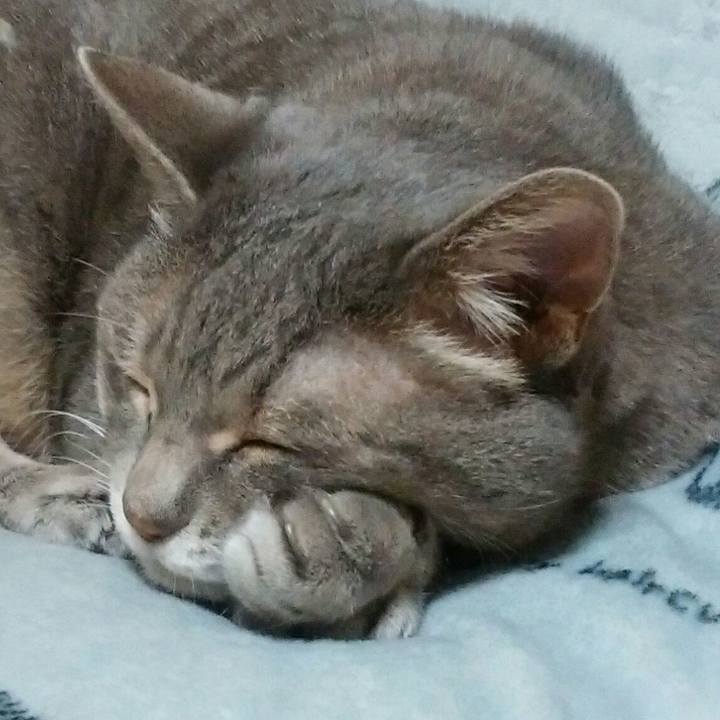 F246556e 6988 4ec5 ab98 46c7d81b4ace 1541859562778