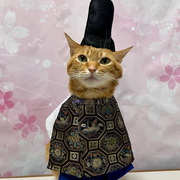 F2467ffd f0b2 49d2 af87 cd149e3de0ef 1677708237905