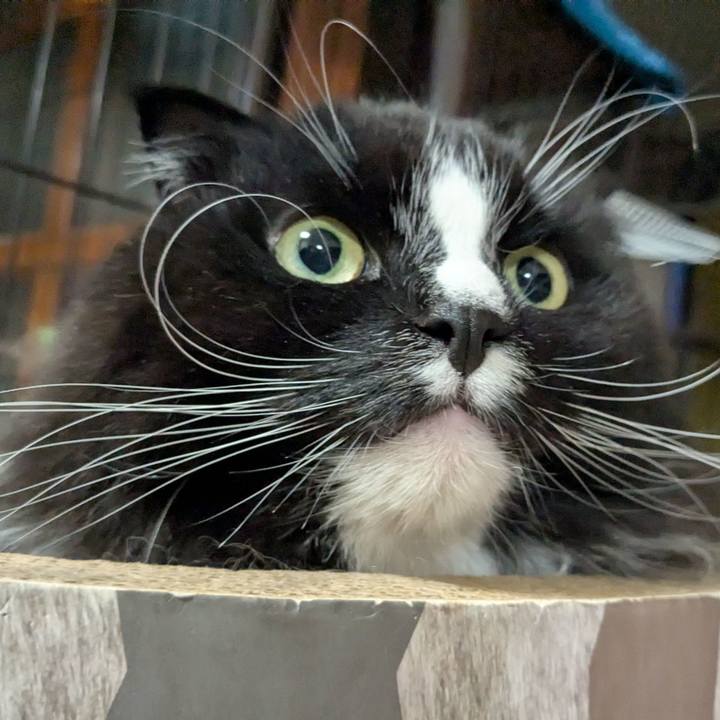 F2468ec5 887b 4006 a2ca 9aeca3ed53d1 1741299038074