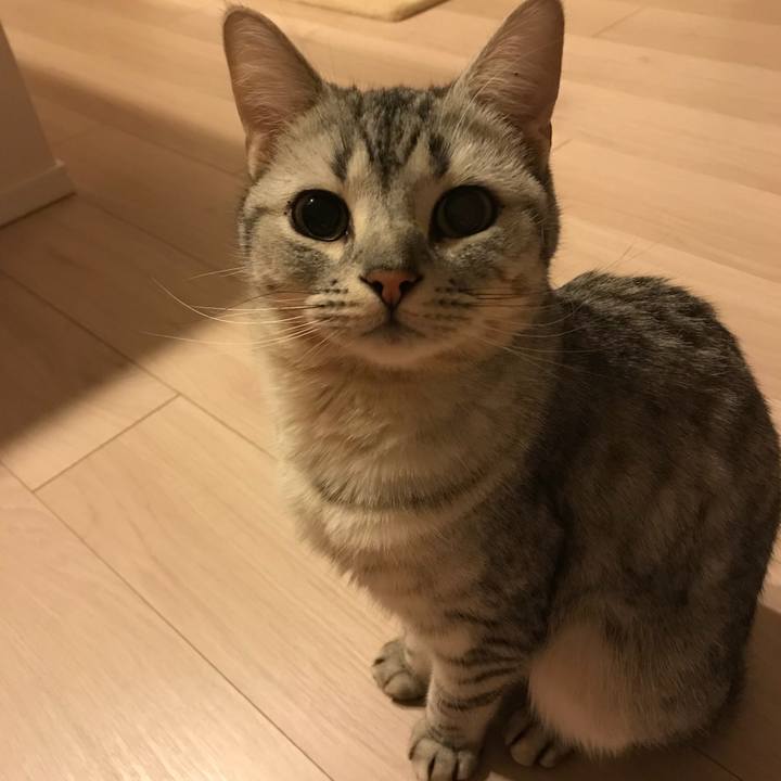 F24692a1 d436 497c 8ebd 26c905f1fb02 1517997152021