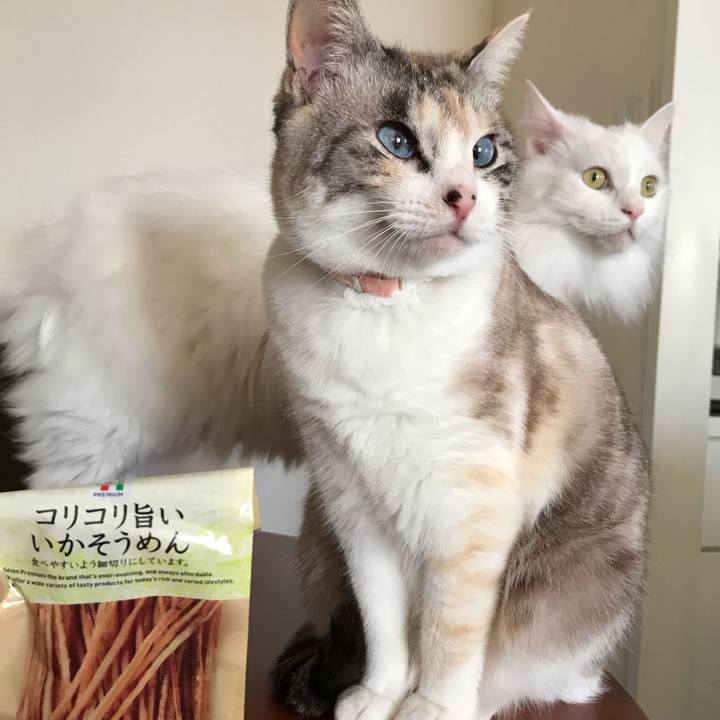 F2469560 8833 4aef 856a 53a266dd5d99 1554379020386