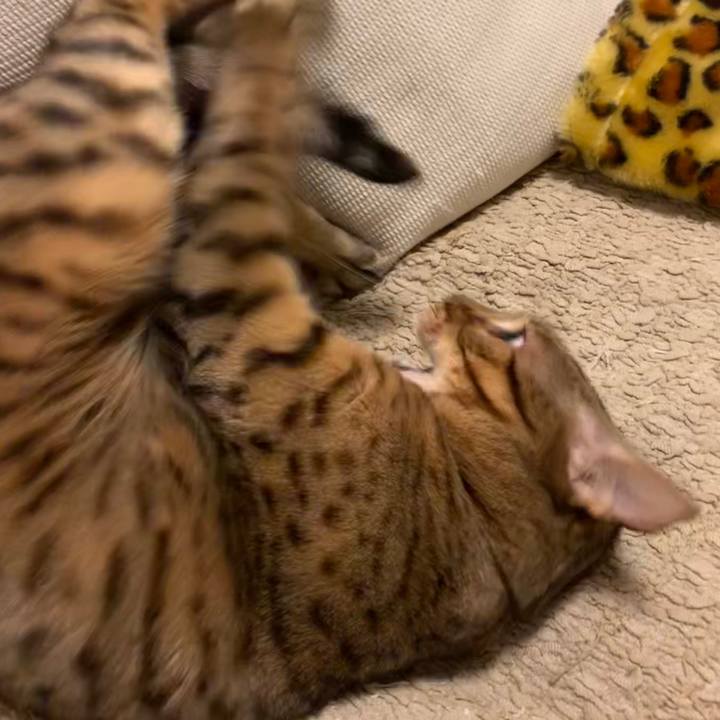 F2469c47 3c3d 4517 a6b8 3cc6c5e9612f 1570841195382