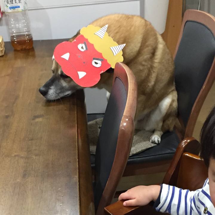 F246a8ec c229 4bda 8d57 4d426d47dc95 1517654465073