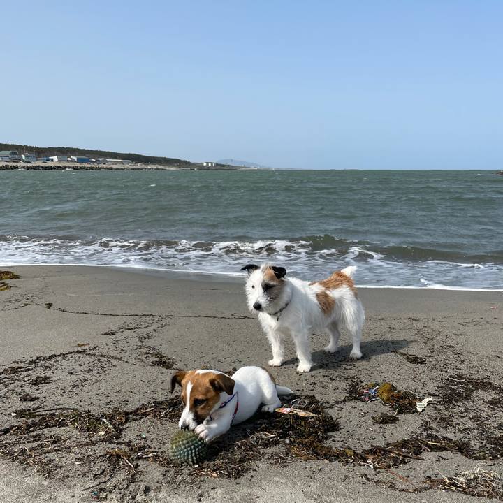 F246c038 d084 4187 a81e eb4510ca8857 1620092839231