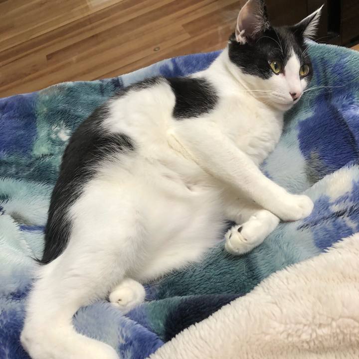 F246f4b5 c237 4476 bbf7 feb9534d5f1e 1634131644098